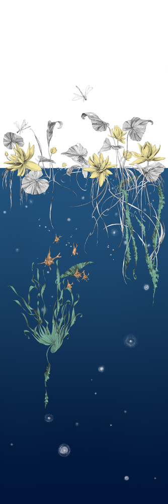 Tapete Nautilus/Méduses/Nénuphars - Marine - Nénuphars droit - Marine