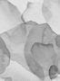9597_3_Rebel-Walls_Petals_R18589-96892