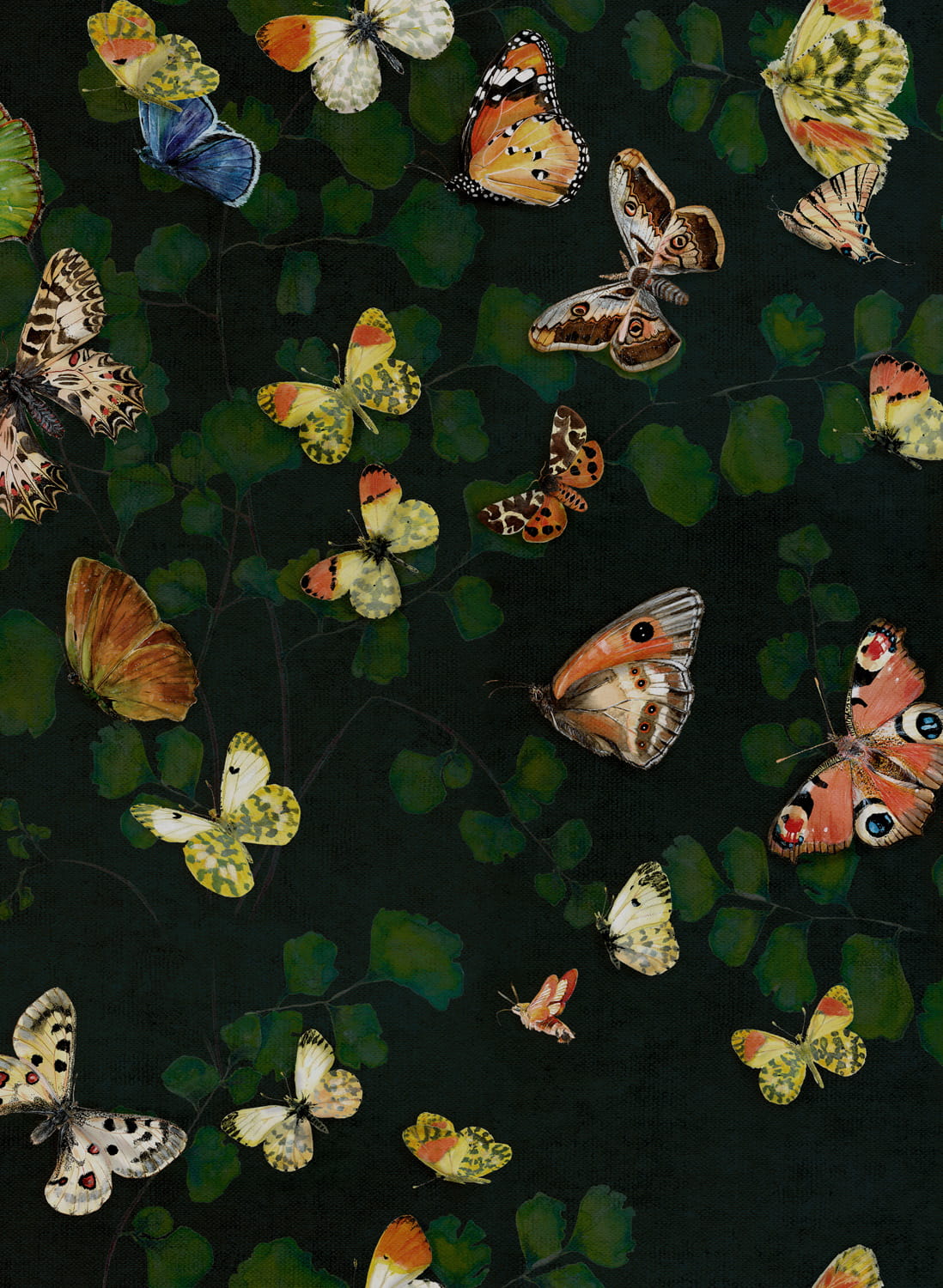 Wallpaper Magic butterflies - Night