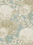 16301_03_Jannelli_&_Volpi_Lithops_7243-148272