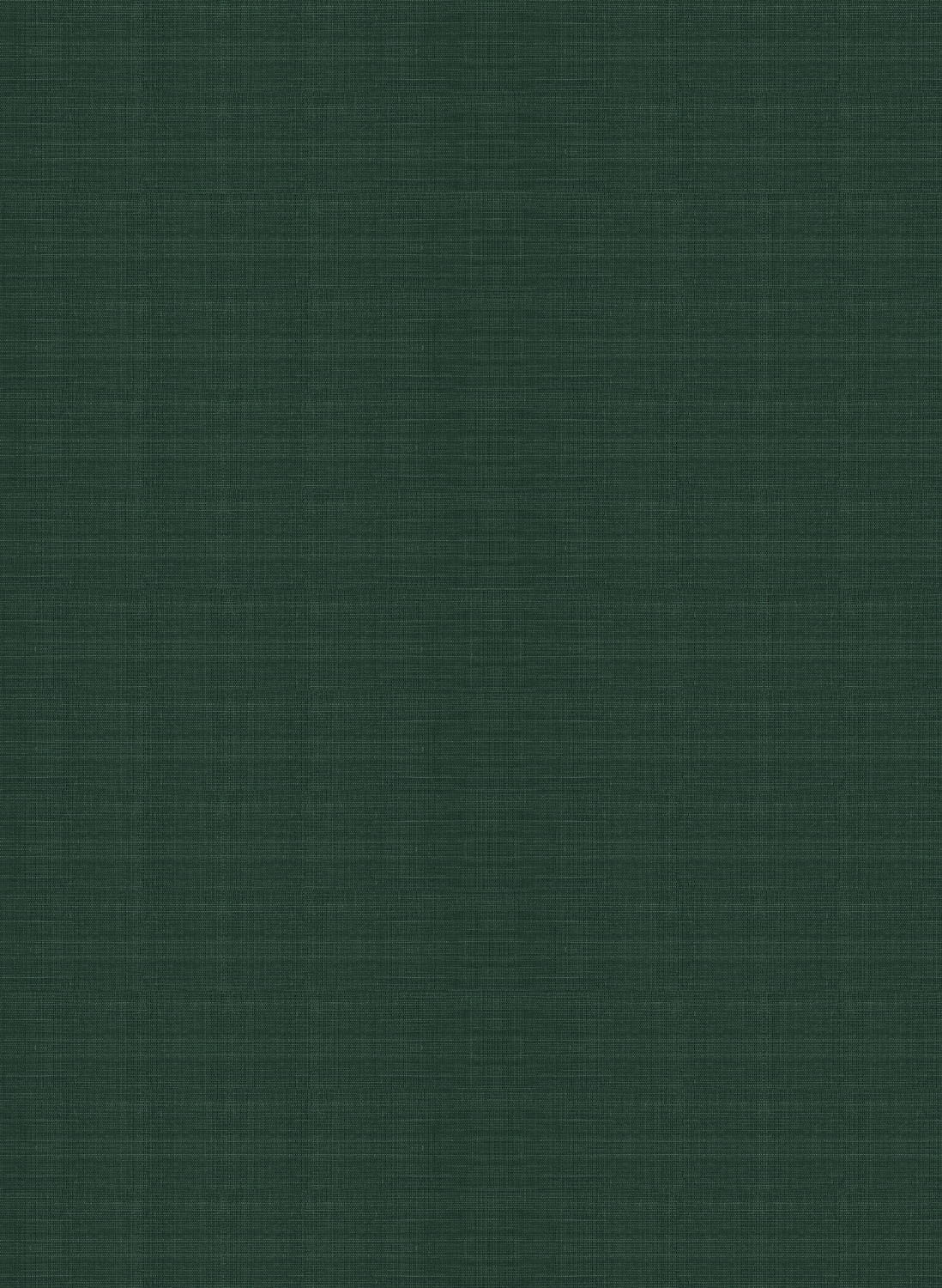 Tapete Line - Grey Forest