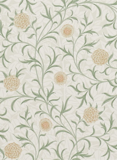 Tapete Scroll - Thyme/ Pear