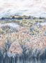 19507_03_Clarke_and_Clarke_Wildbloom_W0171-03-194818