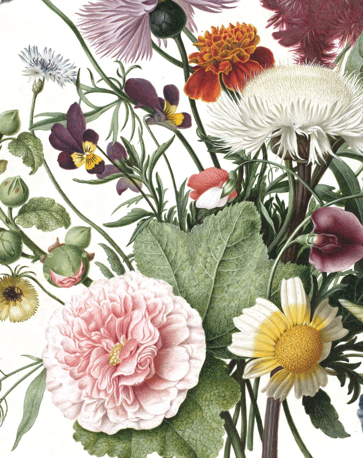 Papier peint panoramique Wild Flowers 1 - XS