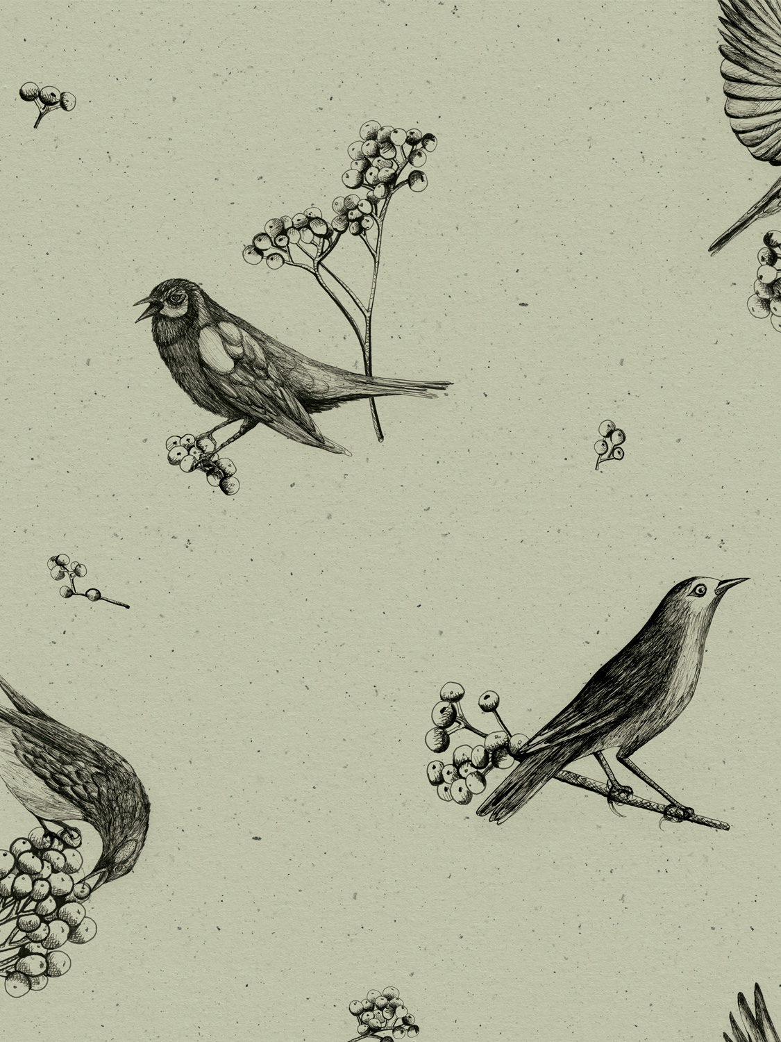 Tapete Sweet Birds - Matcha