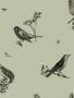 8507_4_Coordonne_Tapete_Sweet_Birds_9500073-70175