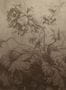 16491_0_KEK_Amsterdam_Gradient_Flowers_Uyterlinde_FU-027-168631