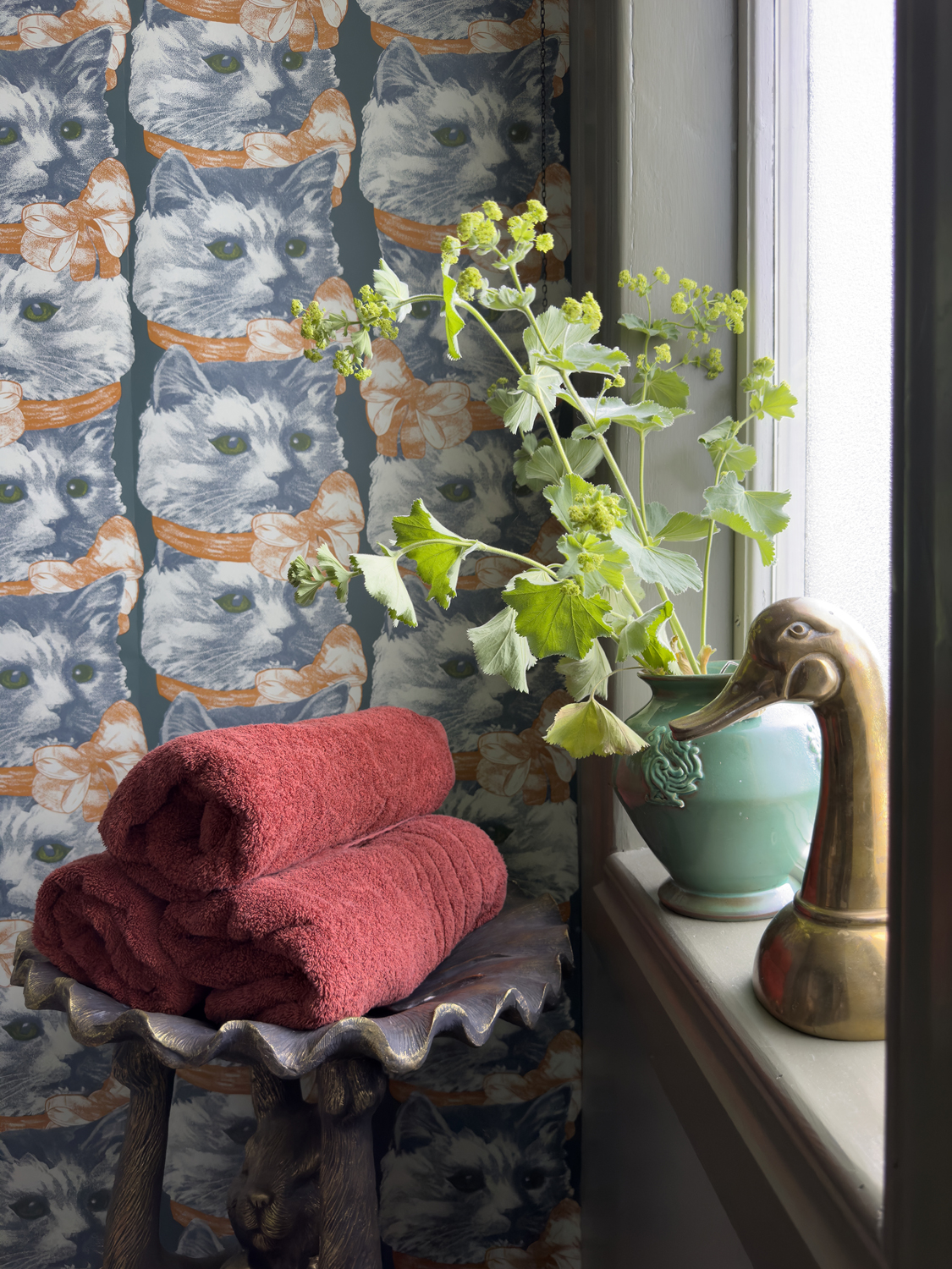 Wallpaper Crazy Cat Lady - 1702
