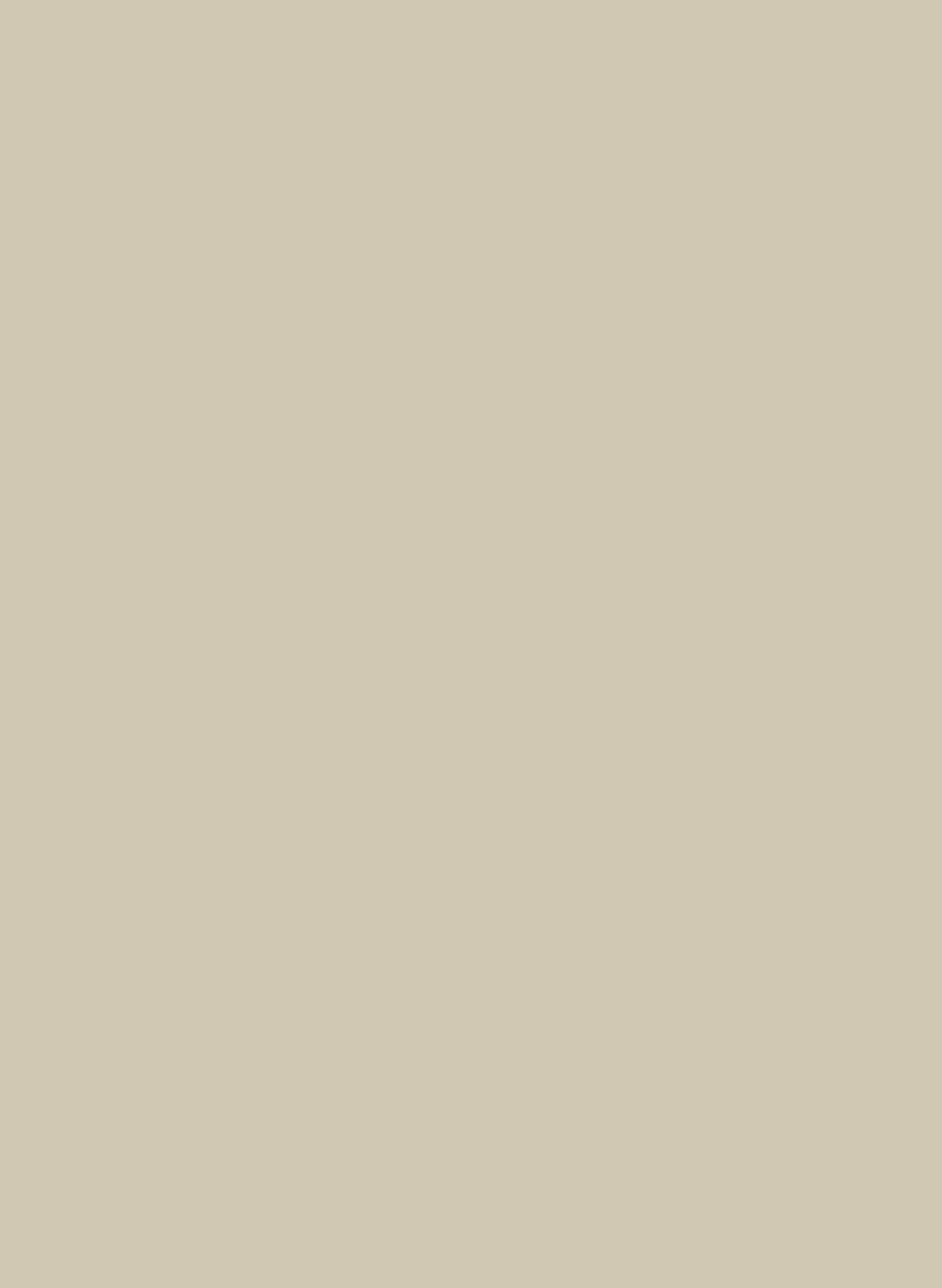 Stone IV 204 ASP