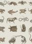 3152_1_mindthegap_ark-of-seba_wp20001-28559