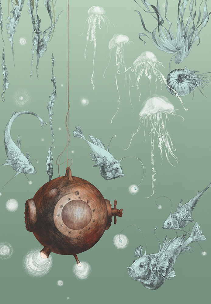 Tapete Nautilus/ Méduses/ Nénuphars - Nautilus gauche - Aqua