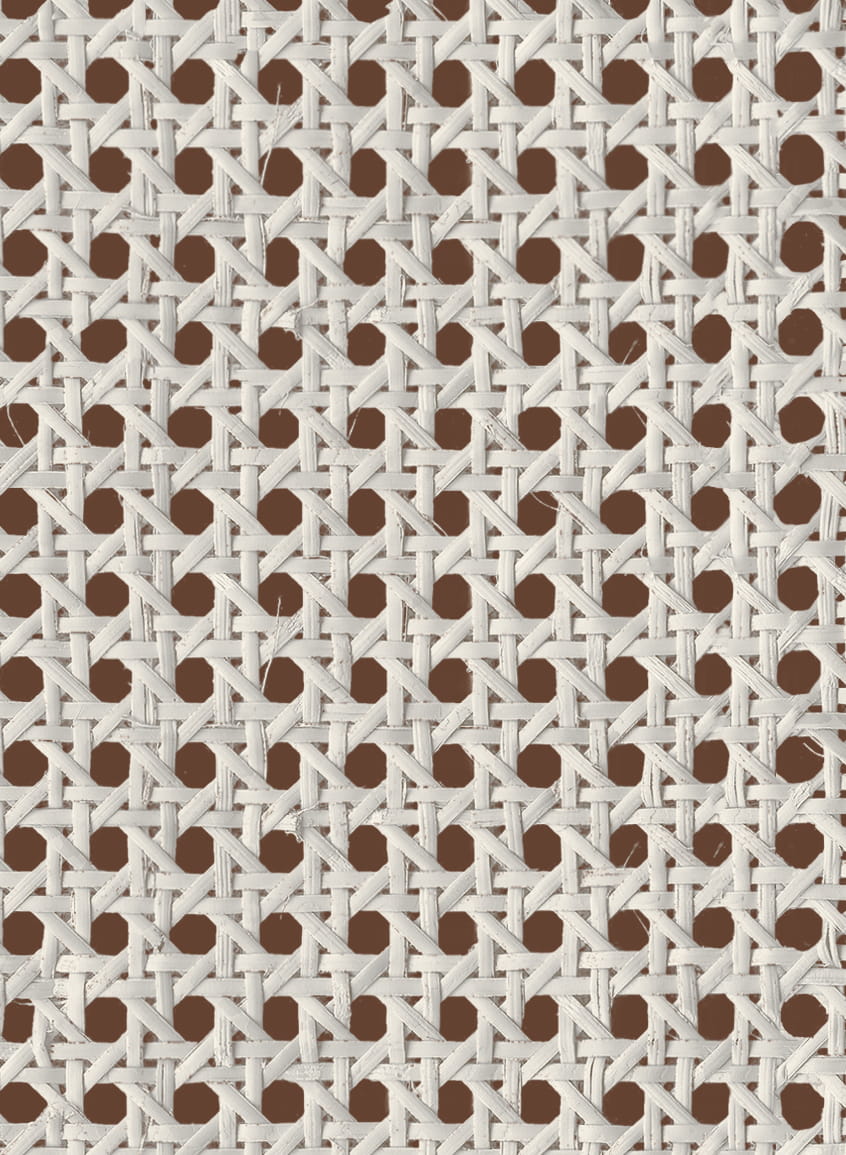 Tapete Raffias+1 - 9800005