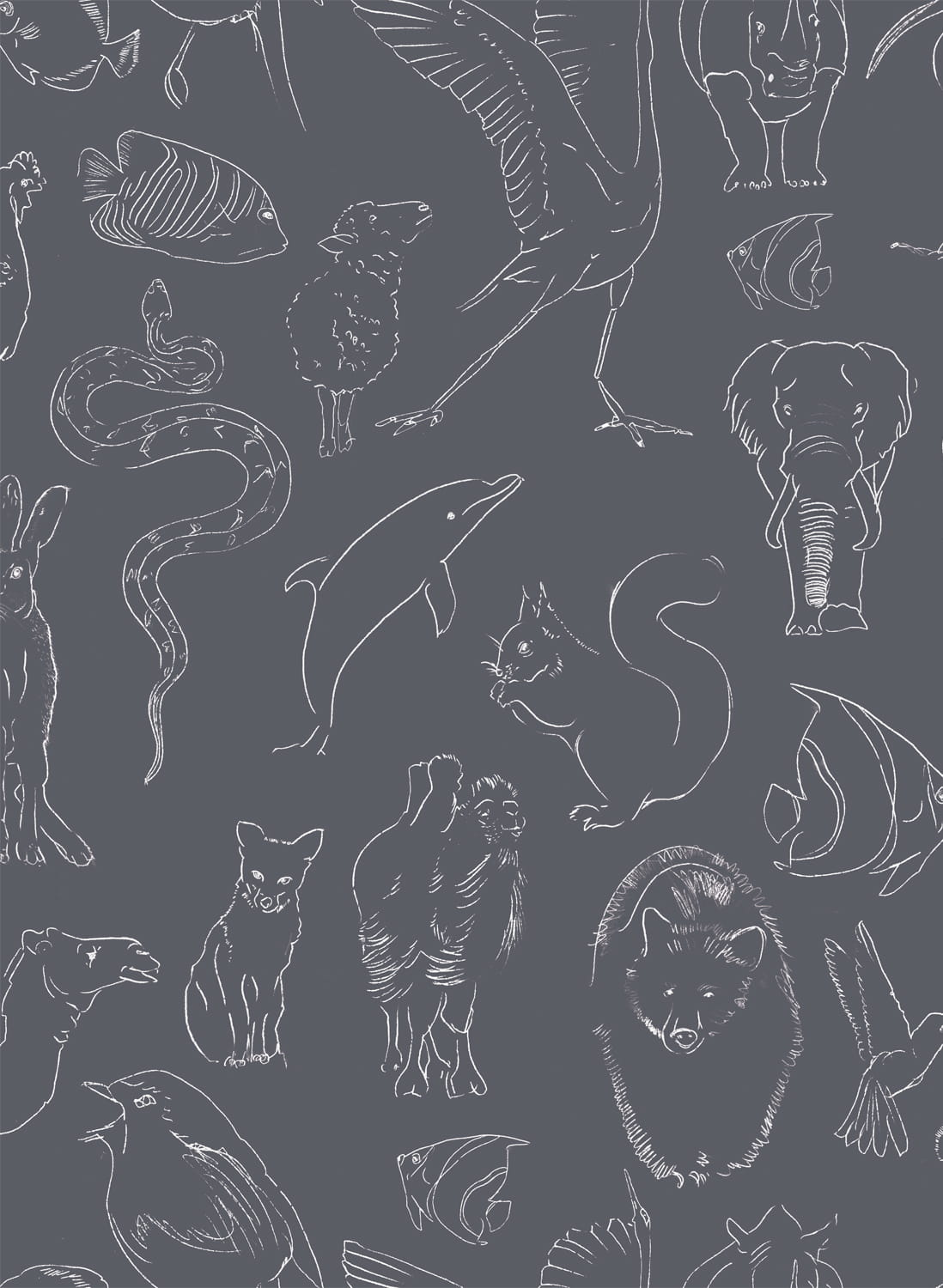 Tapete Zoology - Chalk