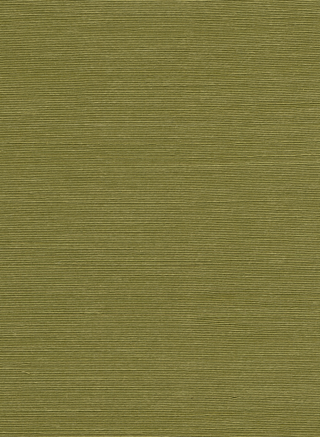 Tapete Agave - Olive