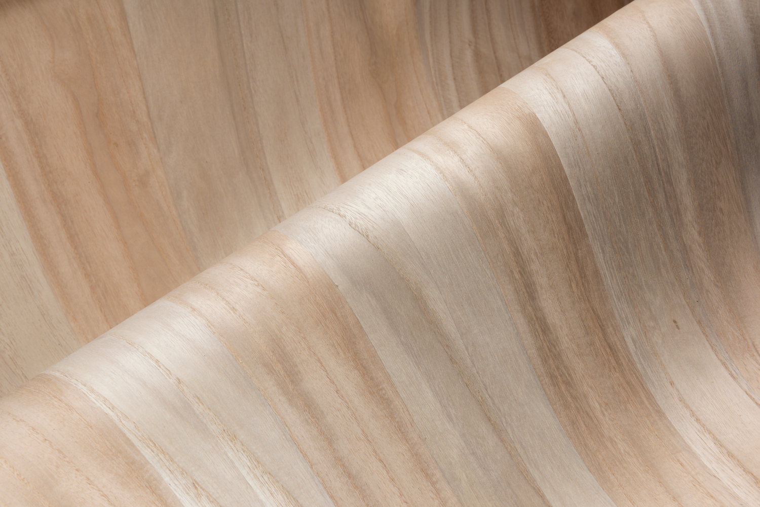 Wandbild Sunburst - Natural