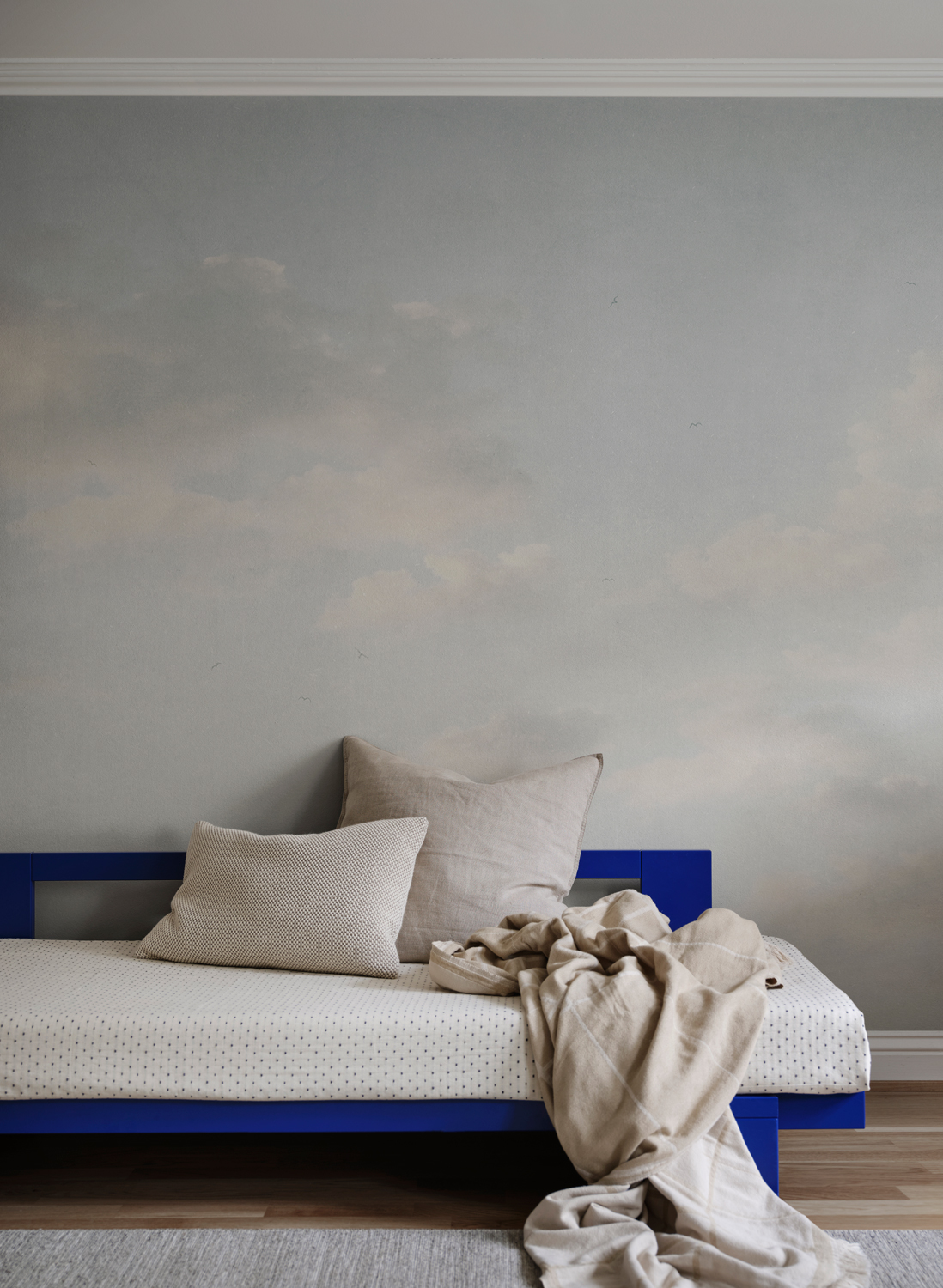 Wandbild Moln