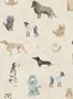15342_03_Sandberg_Taiga_and_Friends_S10706-170686