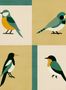 18109_04_Coordonné_Like_a_Bird_C00136-175207