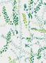 3519_3_boras_bladranker_1787-29836