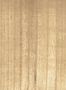 15192_02_CMO_Paris_Bois_CMO_WBO_01_20-146053