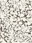 19136_01_Omexco_Nebula_ECP301-205953