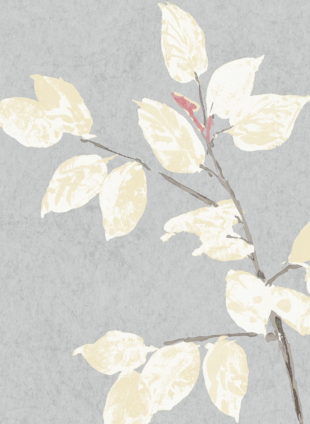 Tapete Beech - Dove