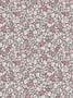 7058_3_Paint_Paper_Lib_Botany_Feather_Flora_Rhubarb_0360FERHUBA-93973