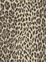 2614_01_House_of_Hackney_Wild_Card_1-WA-WIL-DI-BUT-XXX-188205
