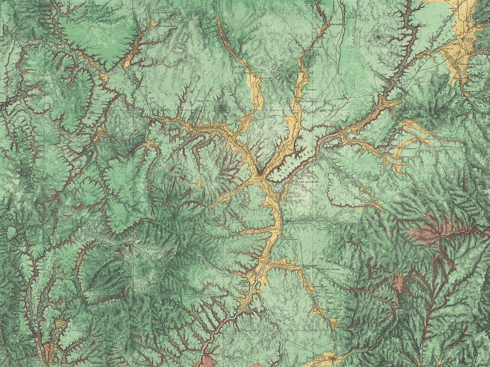 Wandbild Woodland