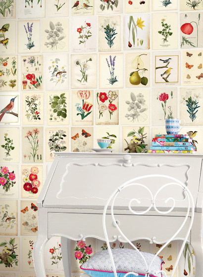 Tapete Botanical Paper