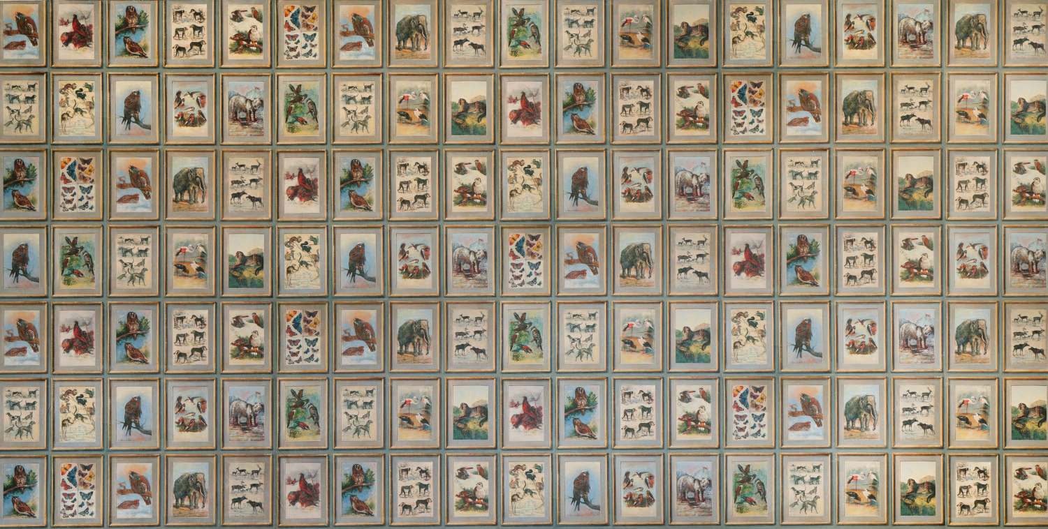 Tapete Zoology - Curazoo
