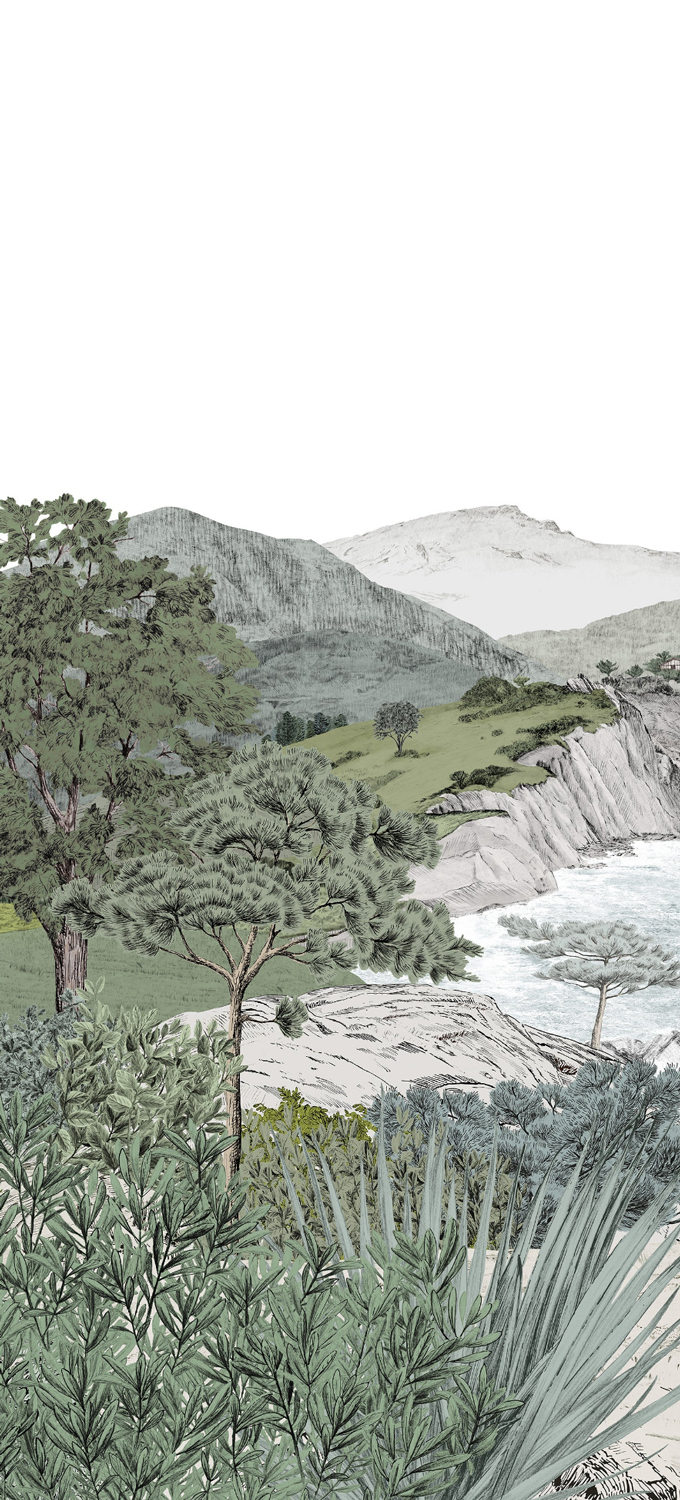 Wallpaper Euskadi - Naturel Panel B