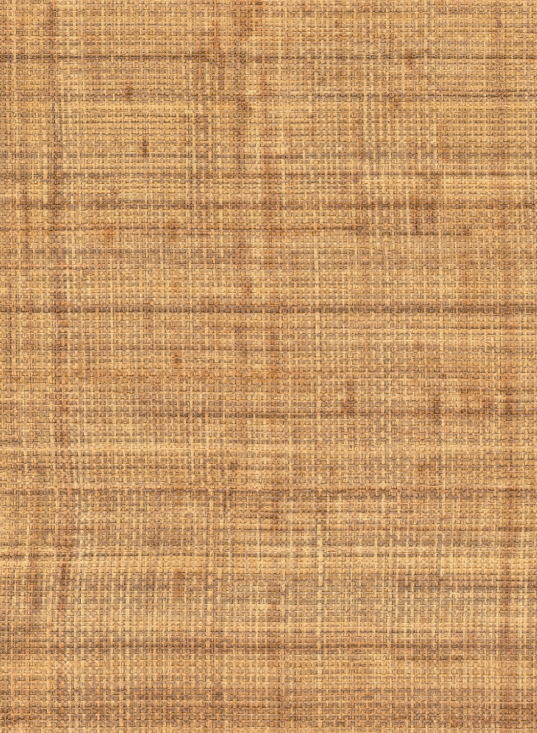 Tapete Abaca - VP 983 15
