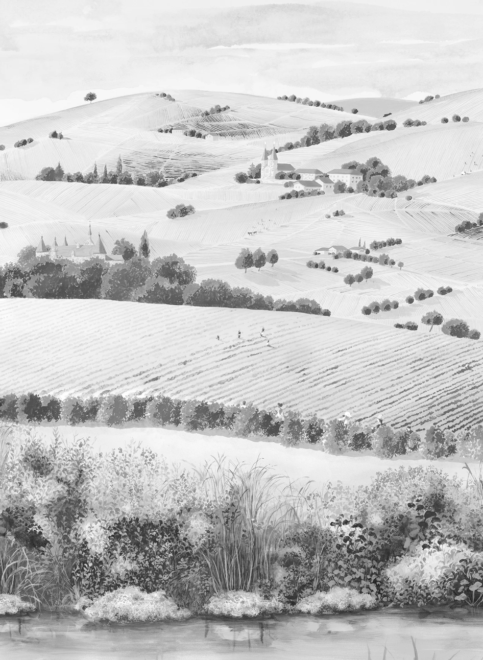 Wallpaper Vendanges - Gris Panel A