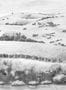 _15291_03_Isidore_Leroy_Vendanges_6263106_-183275