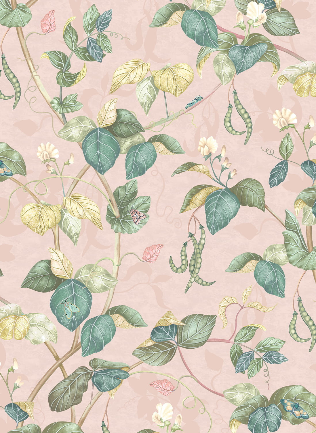 Tapete Cupani - Blush