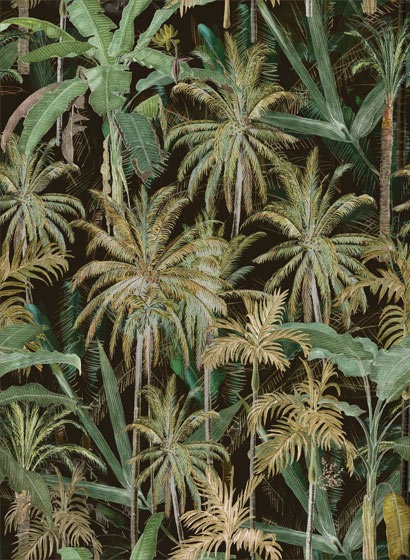 Tapete The Jungle - WP20523