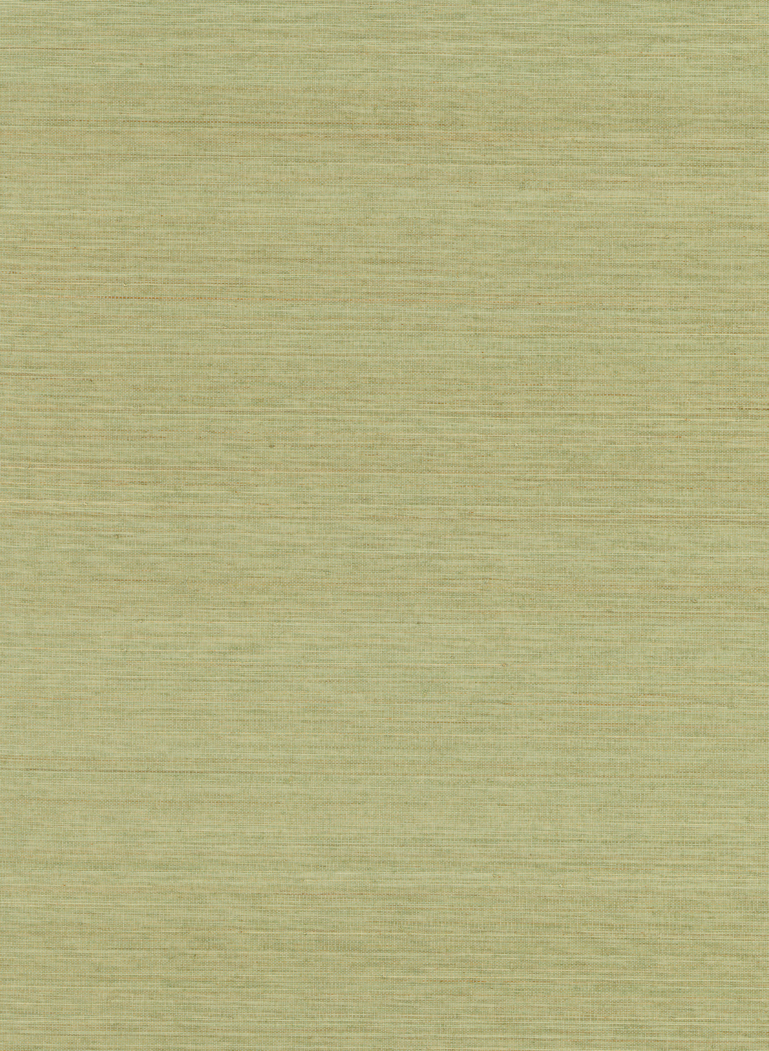 Tapete Abaca - ABA24