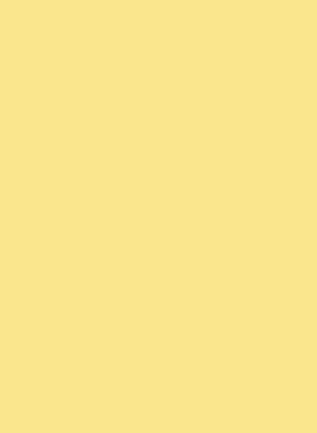 Intelligent All Surface Primer - Pantry Cream 51