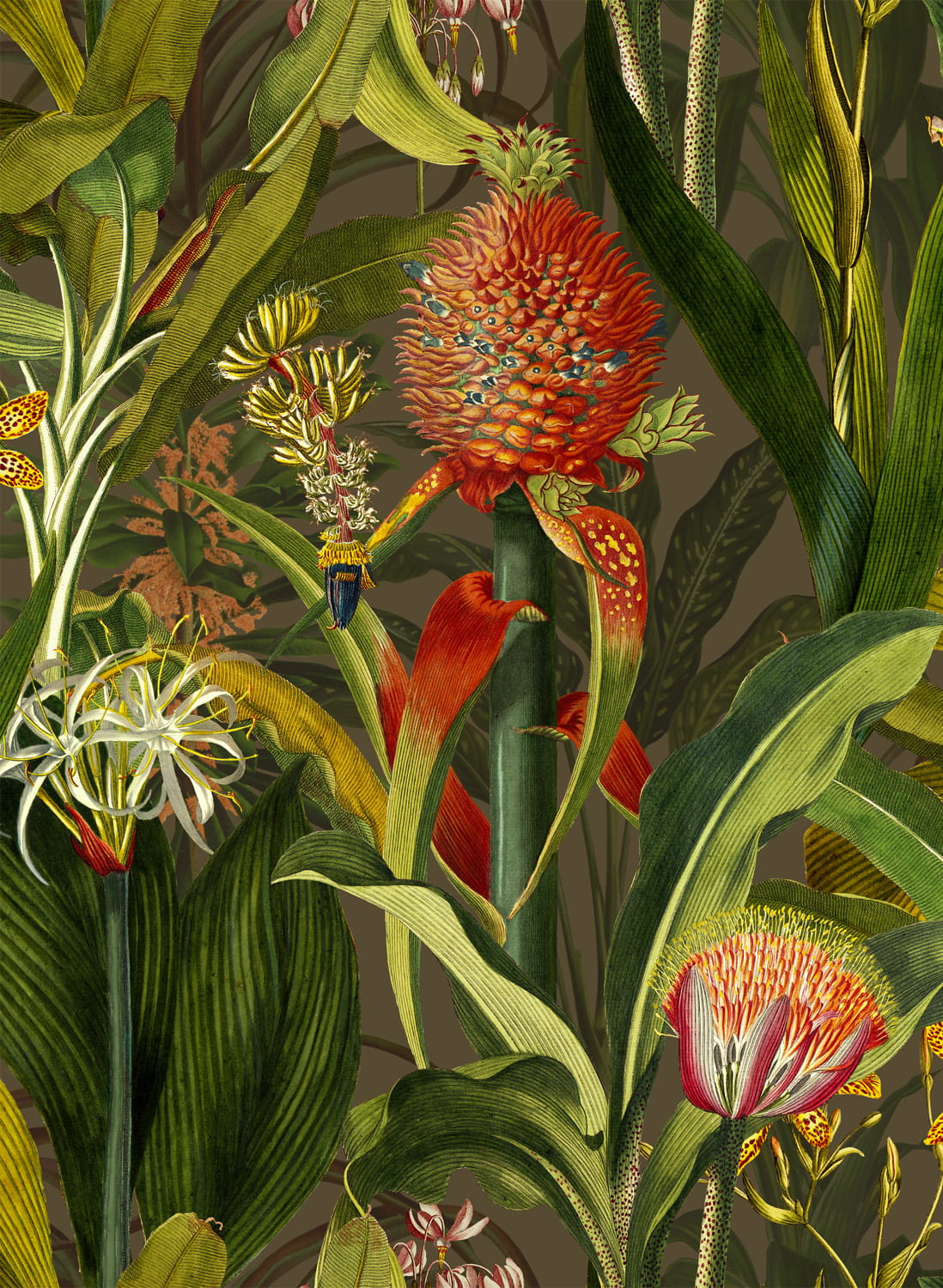 Tapete Blooming Pineapple - Cardinal