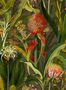 8935_2_Arte_Tapete_Blooming_Pineapple_97601-73271