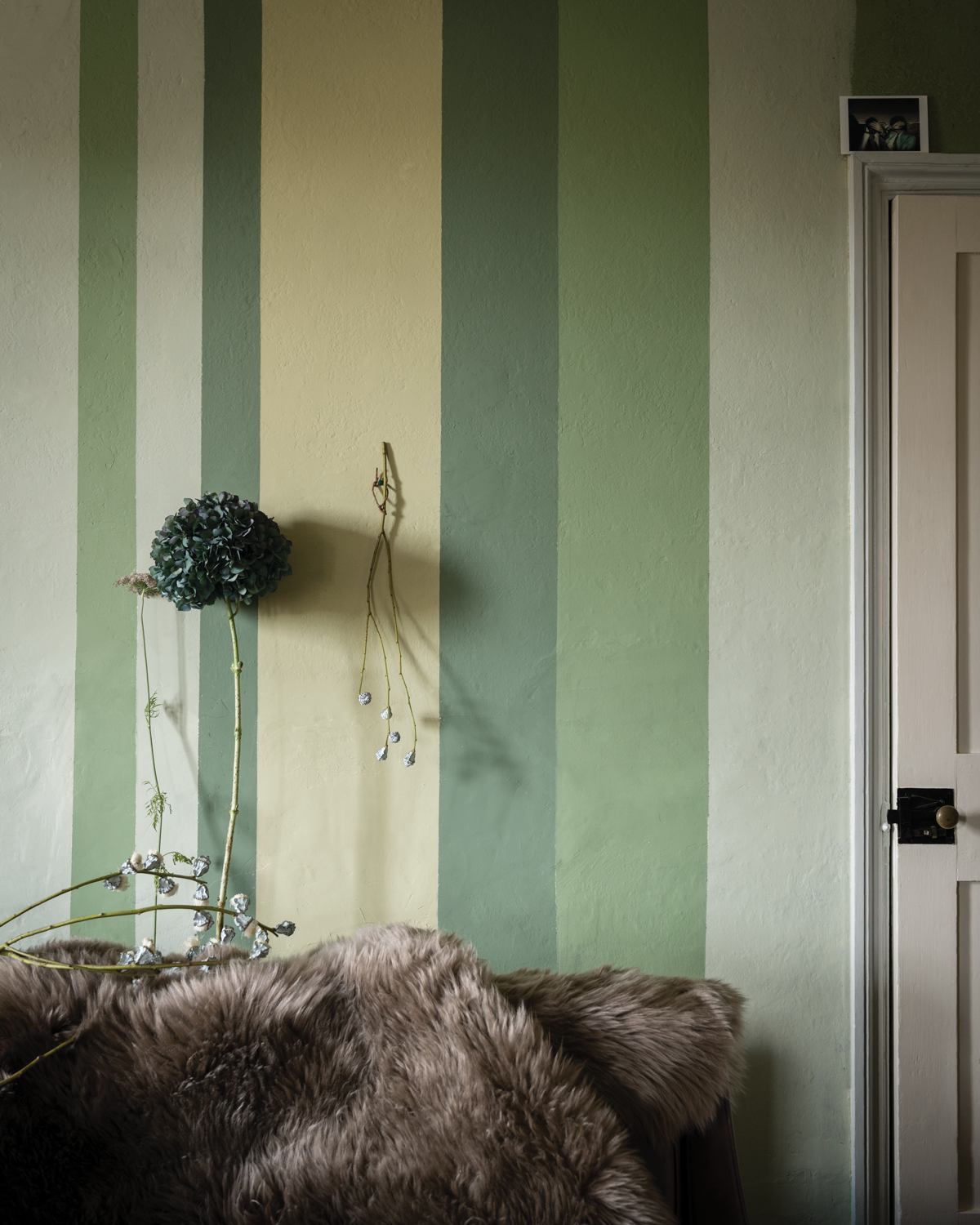 Cooking Apple Green 32