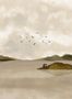 8353_3_Coordonne_Dungeness_View_A00933-113036
