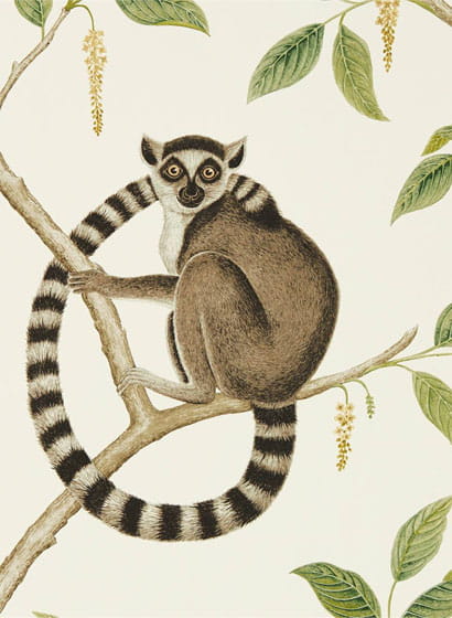 Tapete Ringtailed Lemur - Cream/ Olive