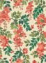 5705_1_cole_son_bougainvillea_117-6016-59229