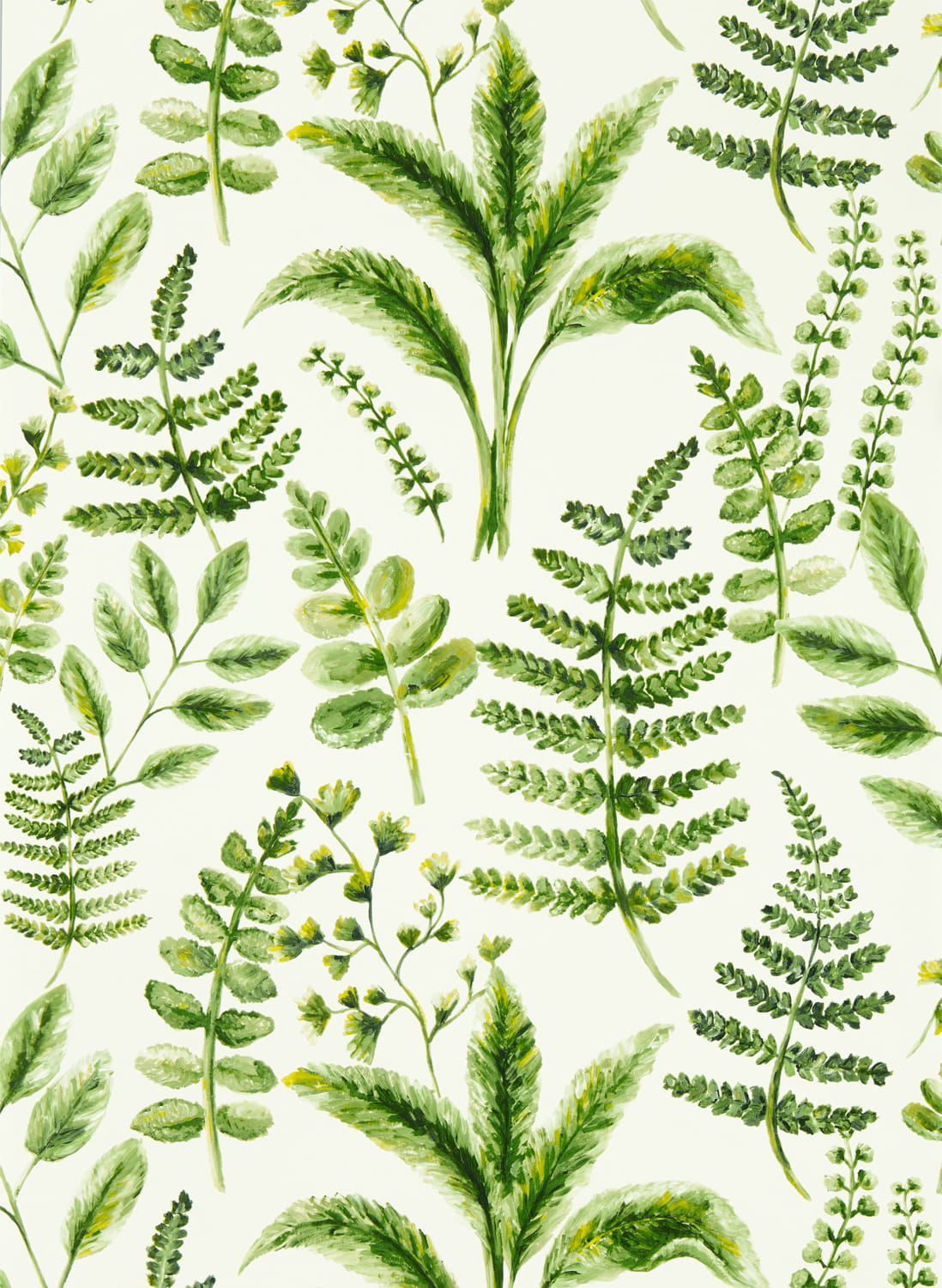 Tapete Bracken - Forest