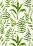 9816_2_Clarke_and_Clarke_Bracken_W0156_02-102589