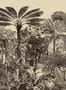 6800_1_Arte_Valle_de_Vinales_97710-85606
