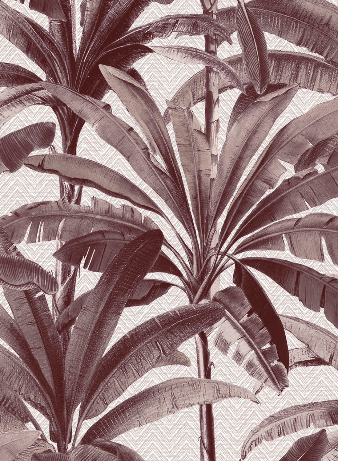 Tapete Palmera - 11141