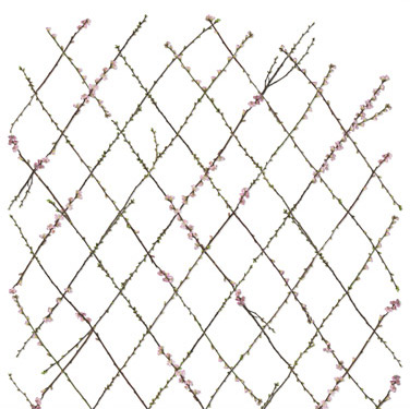 Wandbild Winding Spring - White